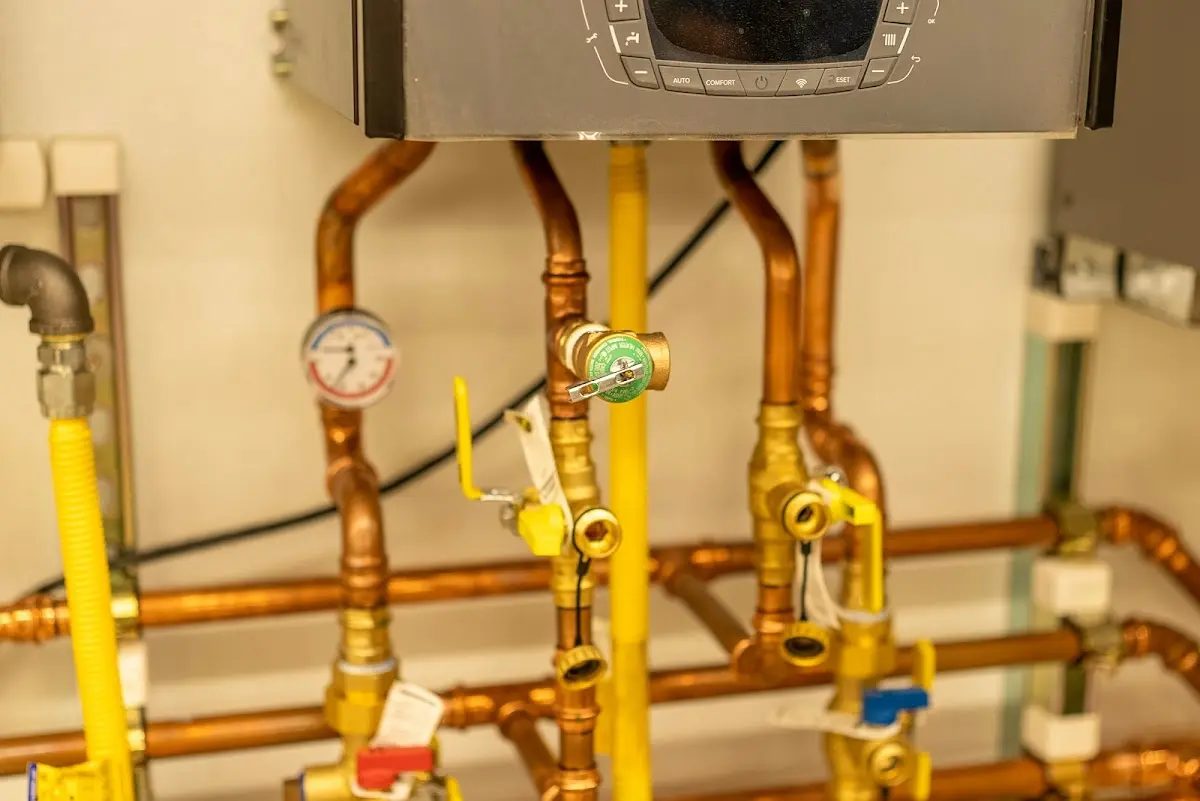 Licensed technician providing Water Heater Installation for a homeowner in Lake Darby